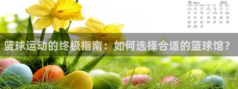 必一运动中国官网：篮球运动的终极指南：如