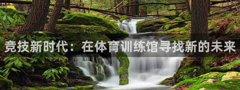 必一运动平台：竞技新时代：在体育训练馆寻